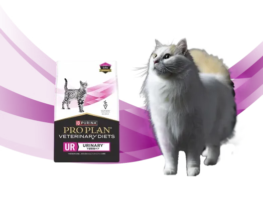 ピュリナ プロプラン ベテリナリーダイエット 猫用 - ピュリナ公式サイト